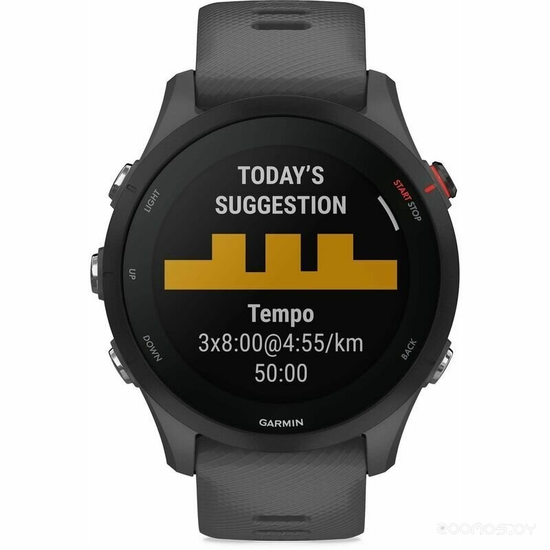 Умные часы Garmin Forerunner 255 46 мм (сланцево-серый/черный) 
