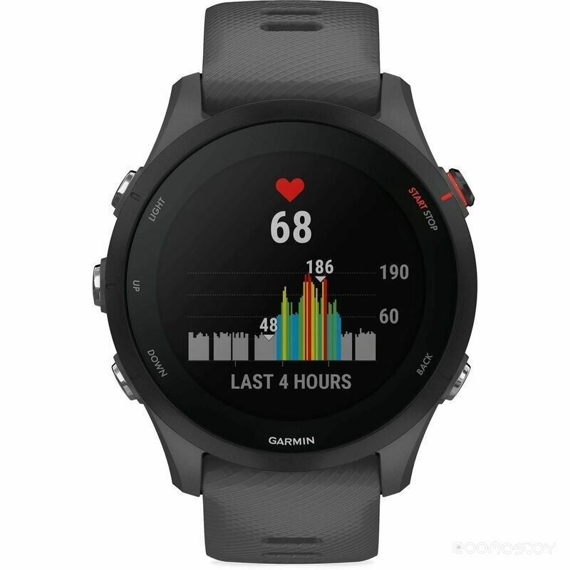 Умные часы Garmin Forerunner 255 46 мм (сланцево-серый/черный) 