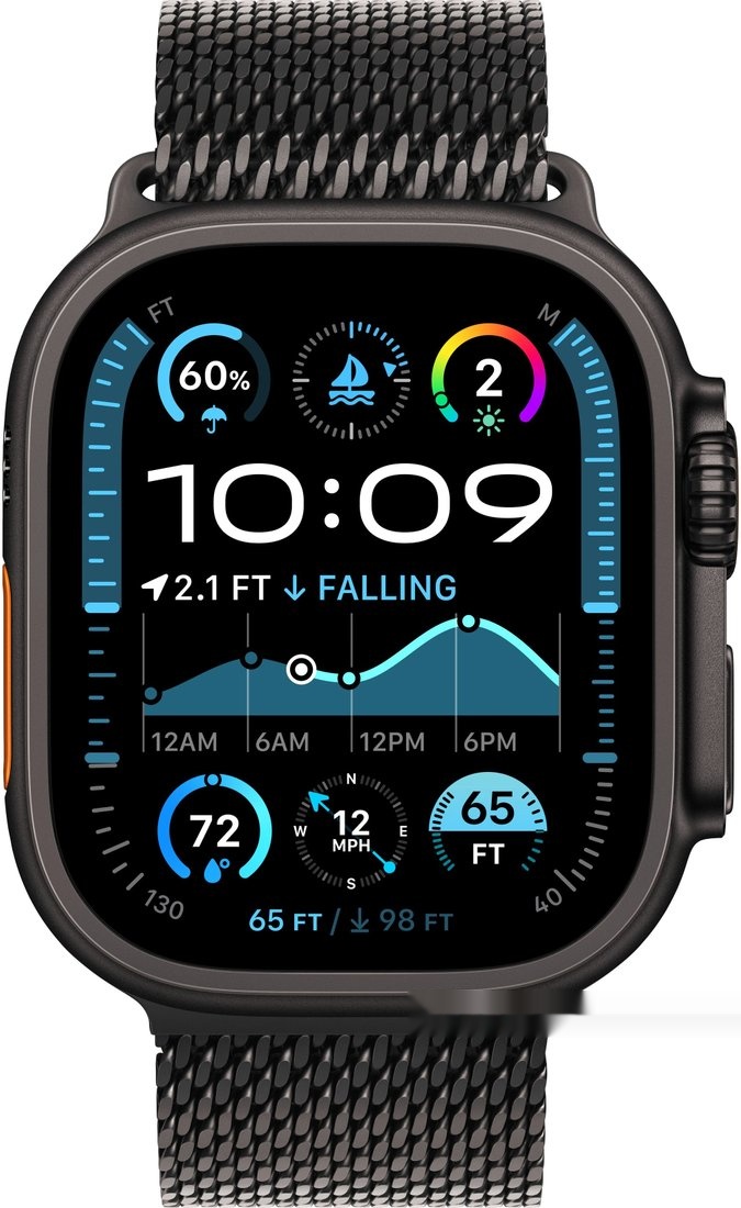 Умные часы Apple Watch Ultra 2 LTE 49 мм (титановый корпус черный/черный миланская петля) 