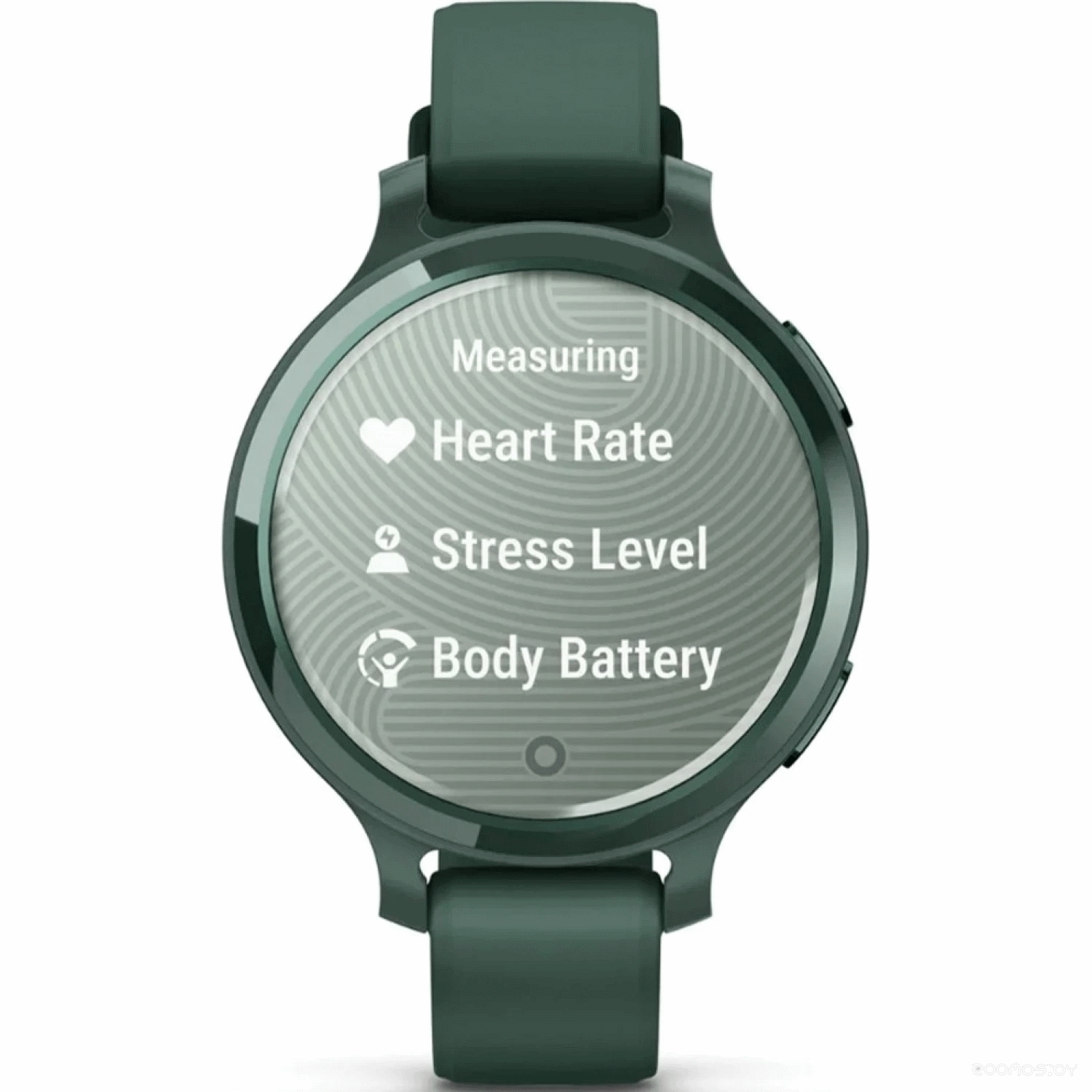 Умные часы Garmin Lily 2 Active (зеленая яшма) 