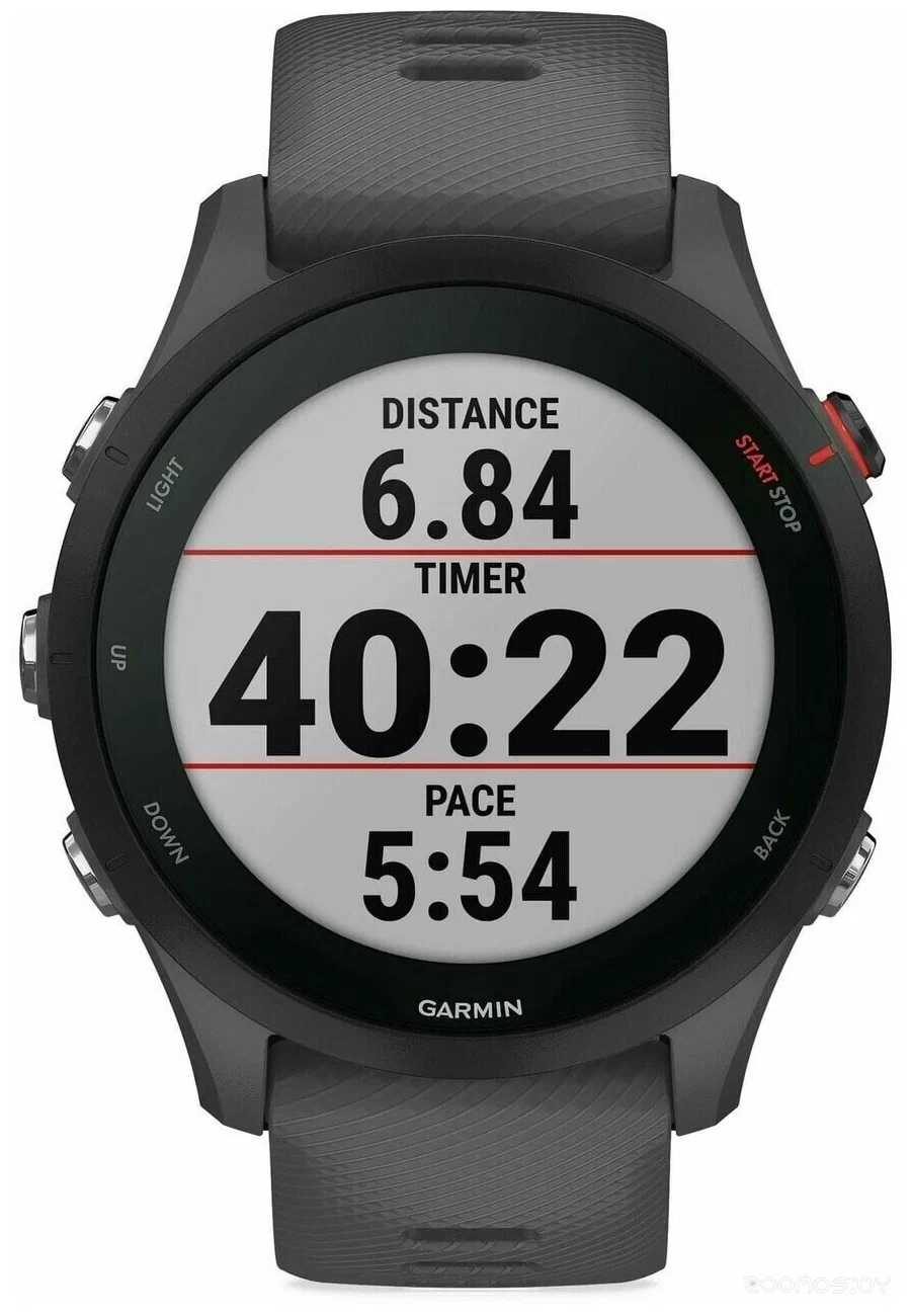 Умные часы Garmin Forerunner 255 46 мм (сланцево-серый/черный) 