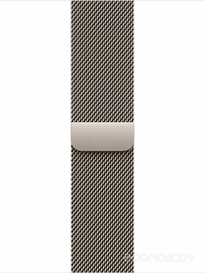Умные часы Apple Watch Series 11 LTE 42 мм (титановый корпус, природный/природный, миланская петля) 