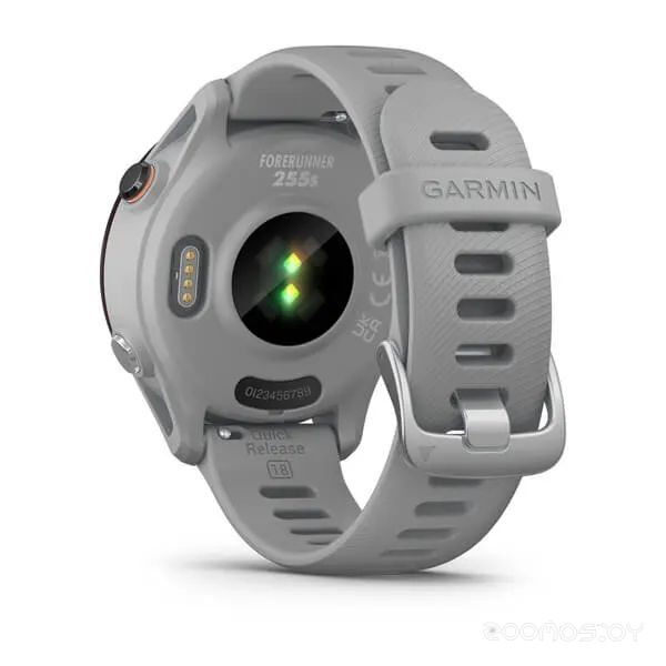 Умные часы Garmin Forerunner 255S 41 мм (светло-серый/черный) 