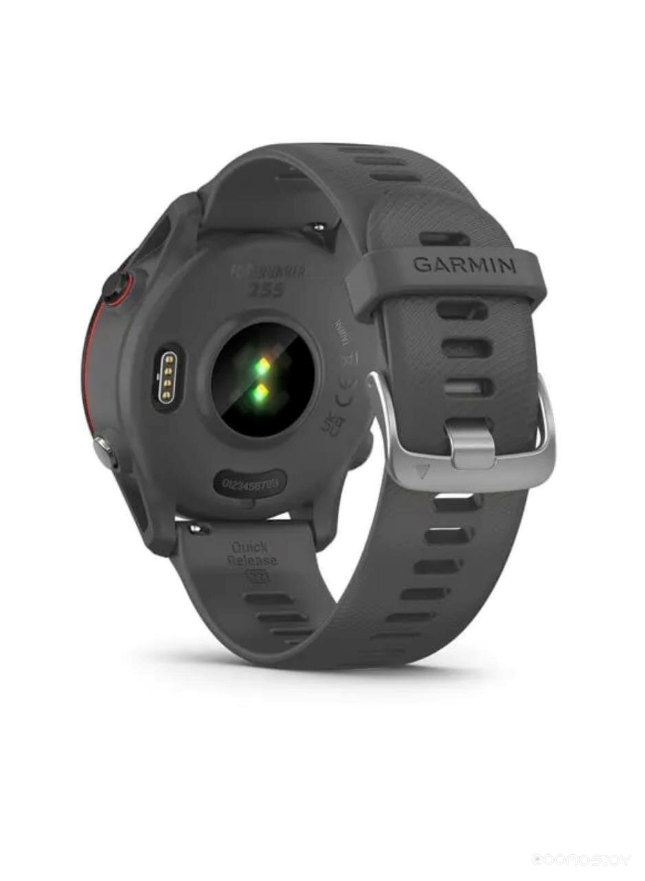 Умные часы Garmin Forerunner 255 46 мм (сланцево-серый/черный) 