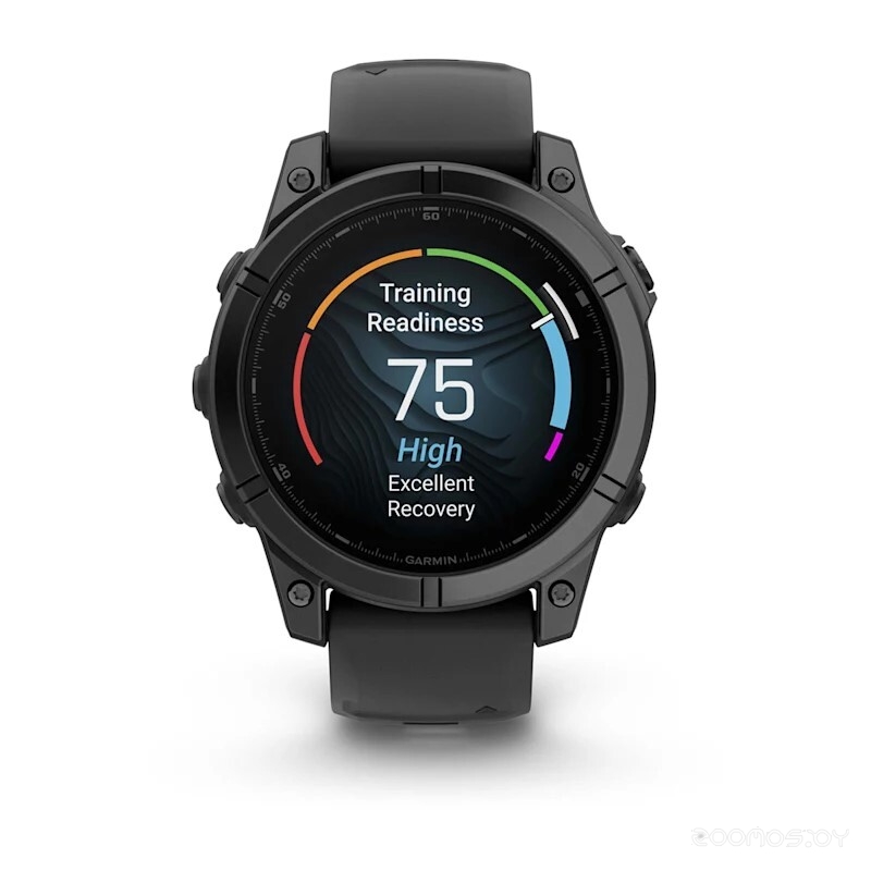 Умные часы Garmin Fenix E 47мм (серая сталь, черный силиконовый ремешок) 