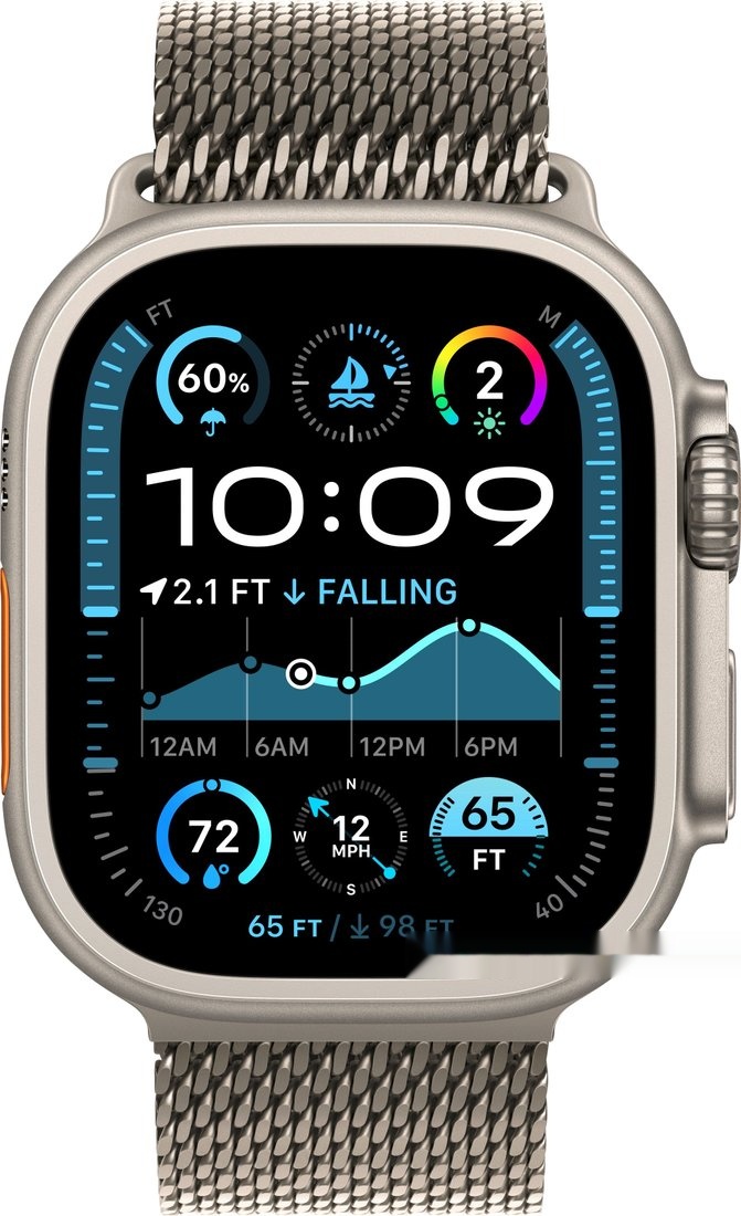 Умные часы Apple Watch Ultra 2 LTE 49 мм (титановый корпус титановый/титановый миланская петля) 