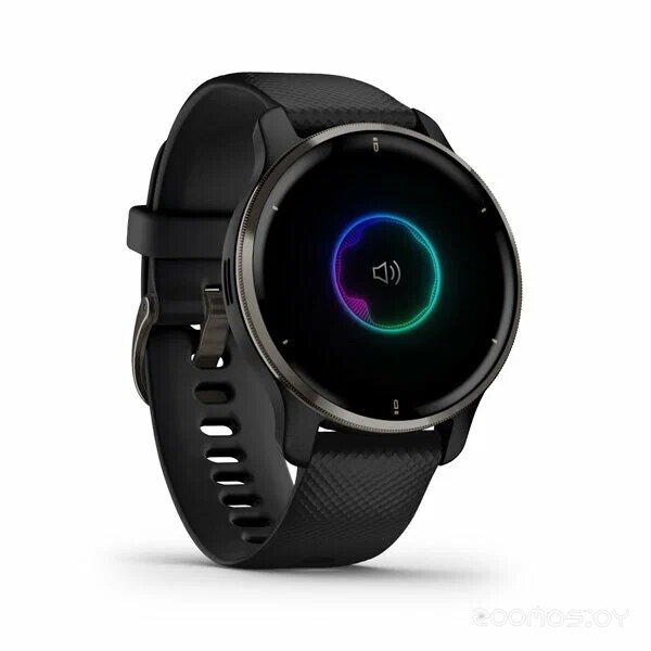 Умные часы Garmin Venu 2 Plus (черный) 