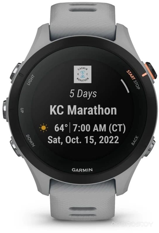 Умные часы Garmin Forerunner 255S 41 мм (светло-серый/черный) 
