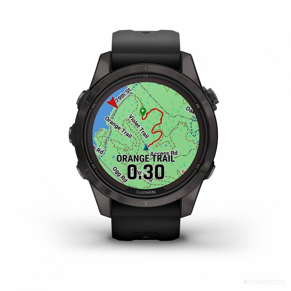 Умные часы Garmin Fenix 7S Pro Solar (серебро/графит) 