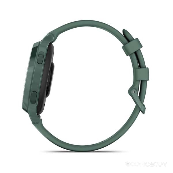 Умные часы Garmin Lily 2 Active (зеленая яшма) 