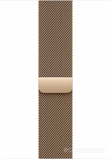 Умные часы Apple Watch Series 11 LTE 46 мм (титановый корпус золотистый/золотистый миланская петля) 