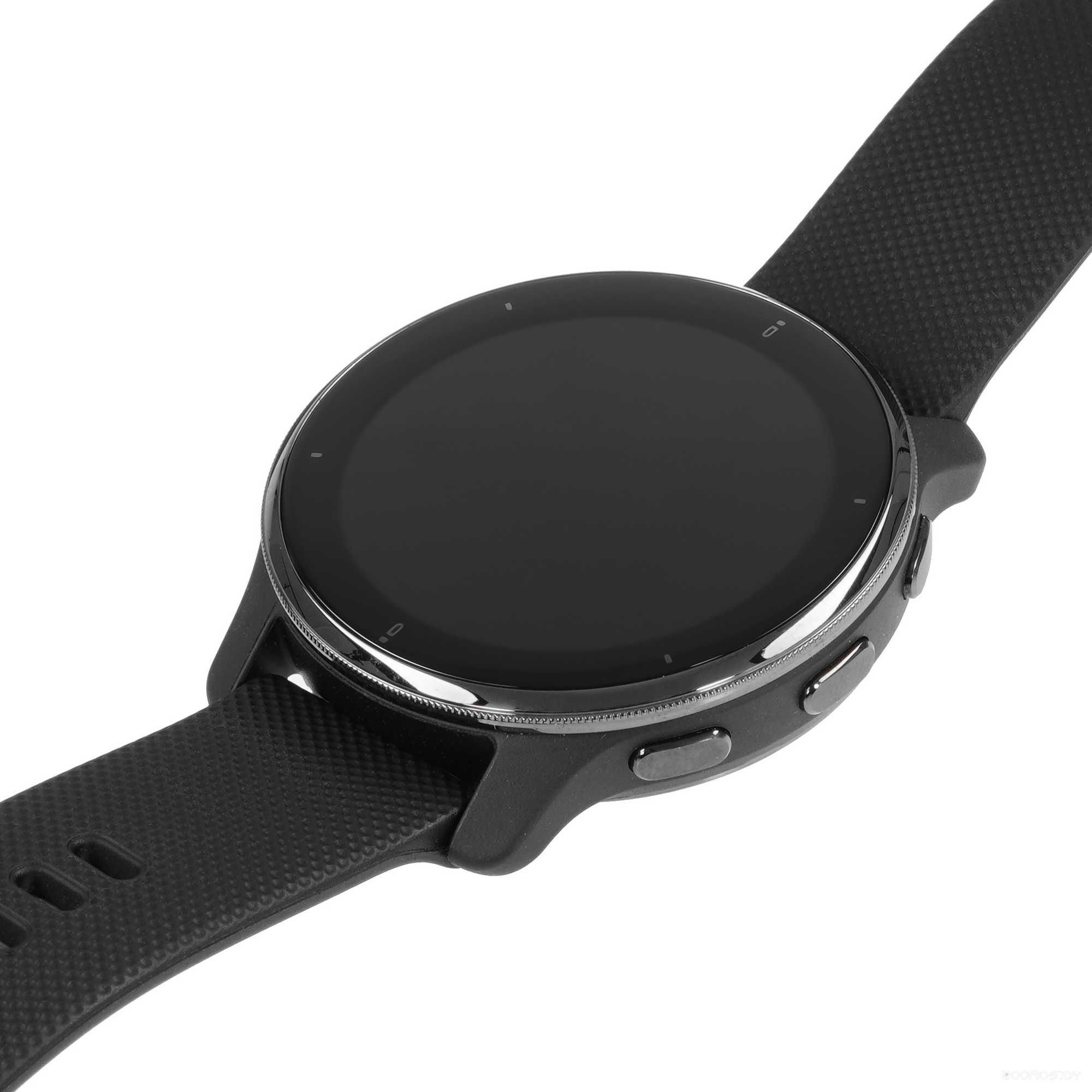 Умные часы Garmin Venu 2 Plus (черный) 