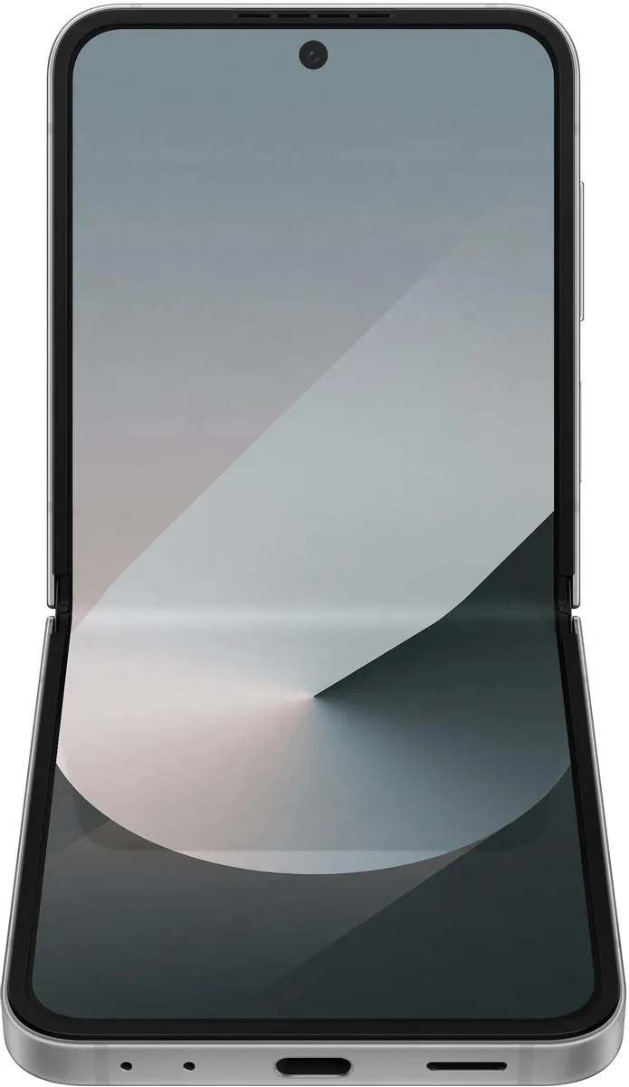 Смартфон Samsung Galaxy Z Flip6 SM-F741B 12GB/256GB (серый) 