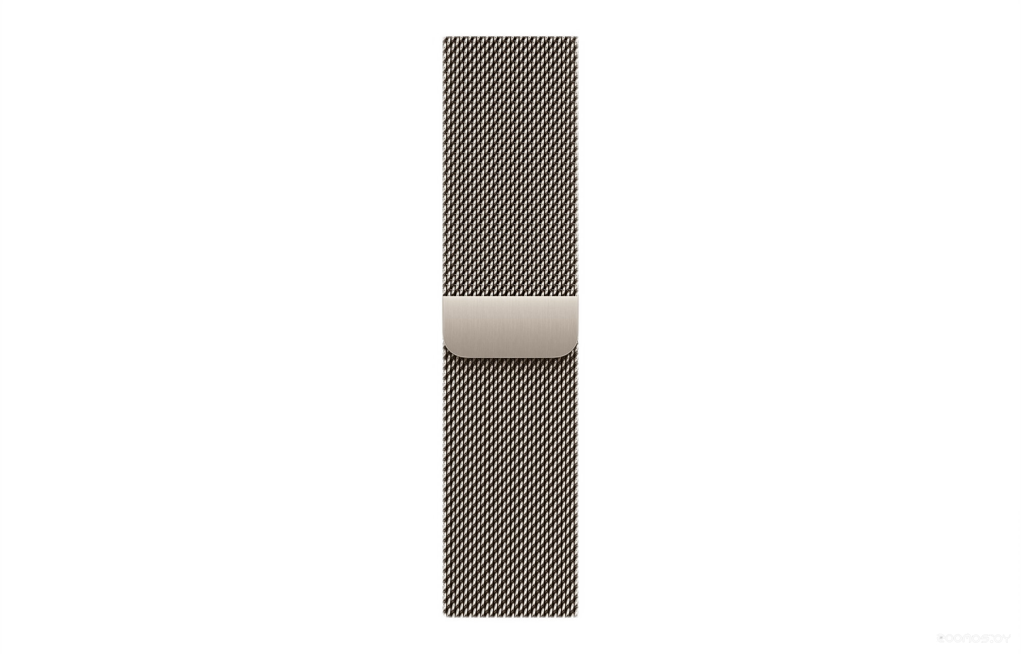 Умные часы Apple Watch Series 11 LTE 46 мм (титановый корпус природный/природный миланская петля) 