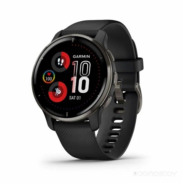 Умные часы Garmin Venu 2 Plus (черный) 