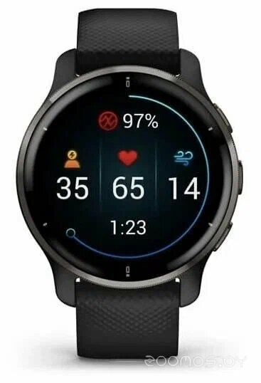Умные часы Garmin Venu 2 Plus (черный) 