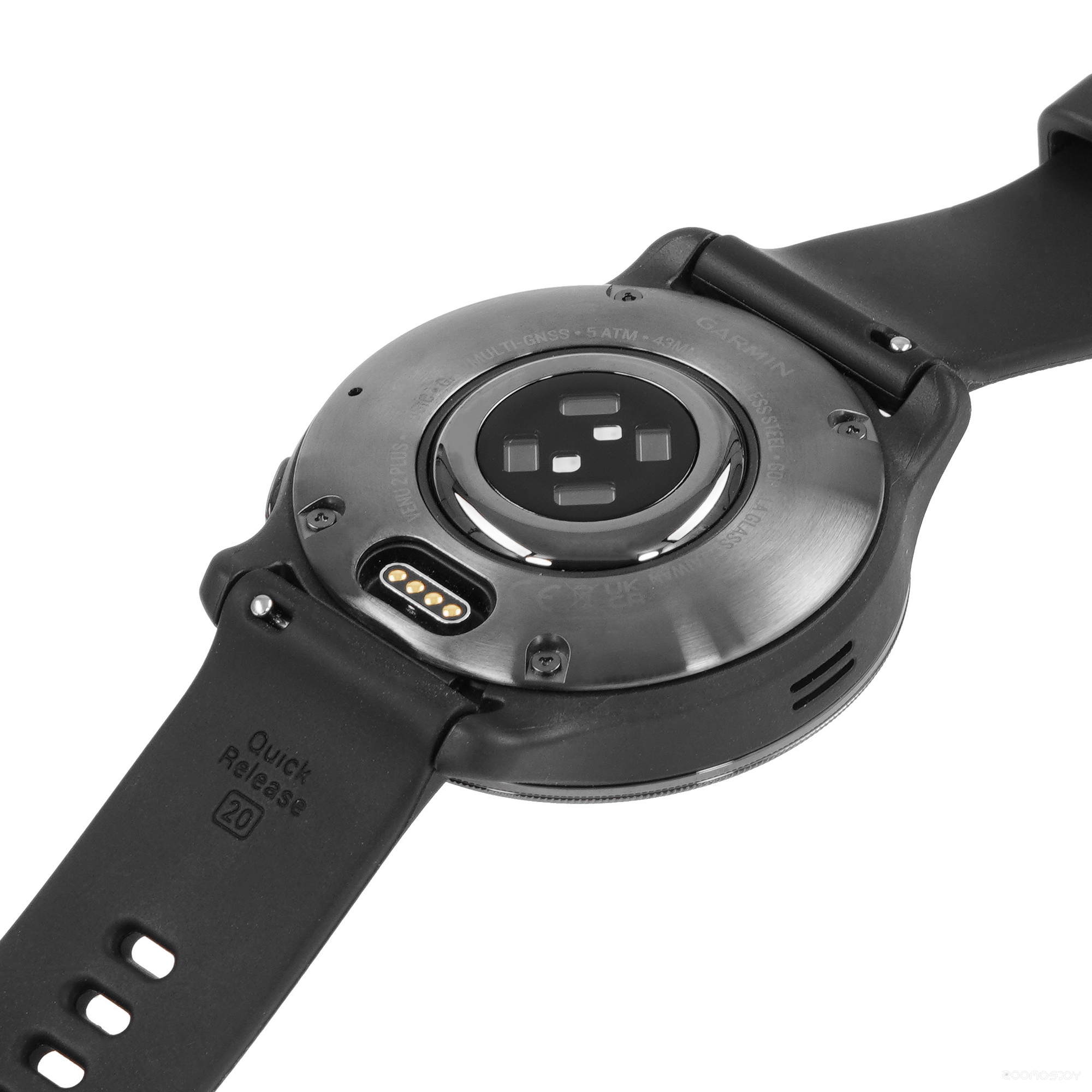 Умные часы Garmin Venu 2 Plus (черный) 