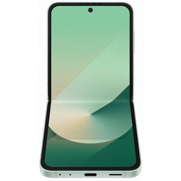 Смартфон Samsung Galaxy Z Flip6 SM-F741B 12GB/512GB (мятный) 