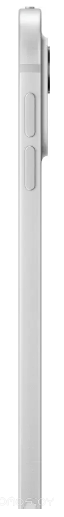 Планшет Apple iPad Pro 11_ 2025 5G 512GB (серебристый) 