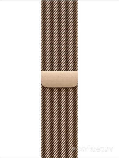 Умные часы Apple Watch Series 11 LTE 42 мм (титановый корпус, природный/золотистый, миланская петля) 