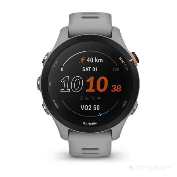 Умные часы Garmin Forerunner 255S 41 мм (светло-серый/черный) 