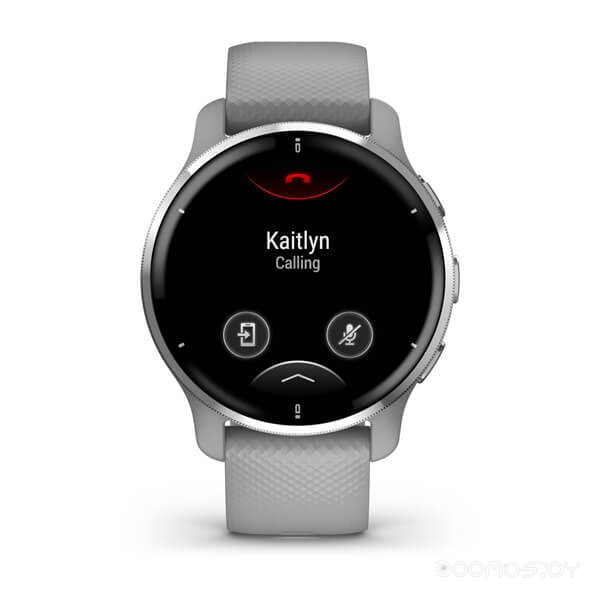 Умные часы Garmin Venu 2 Plus (серебристый/серый) 