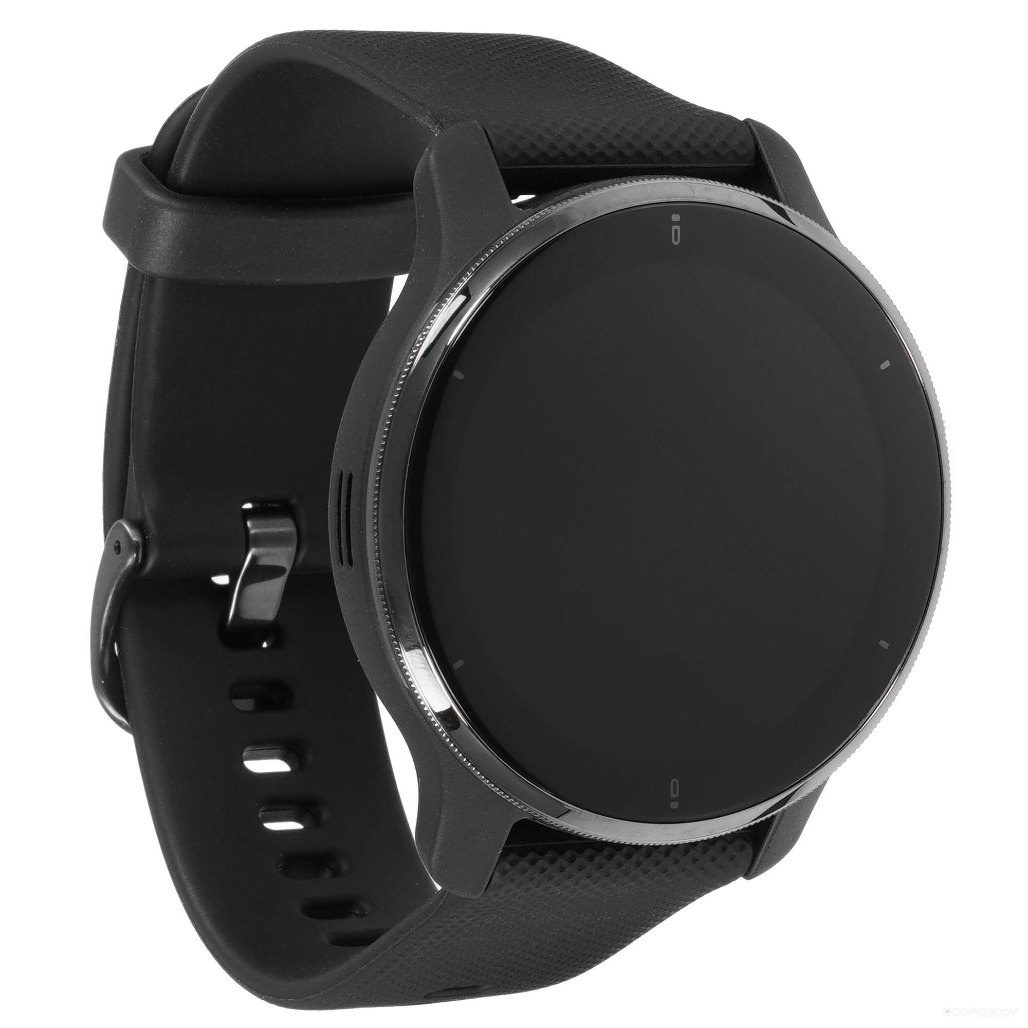 Умные часы Garmin Venu 2 Plus (черный) 