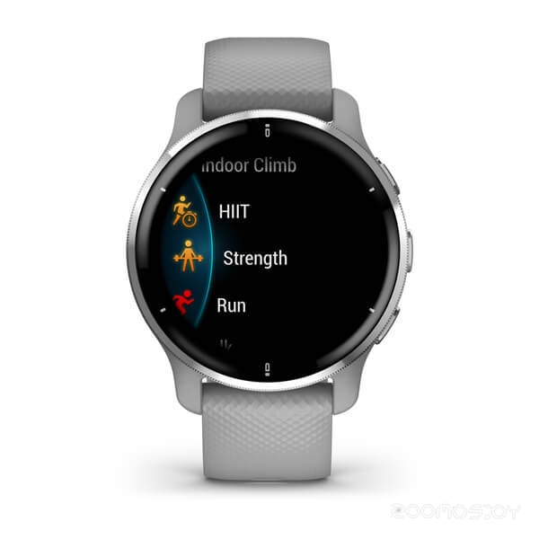 Умные часы Garmin Venu 2 Plus (серебристый/серый) 