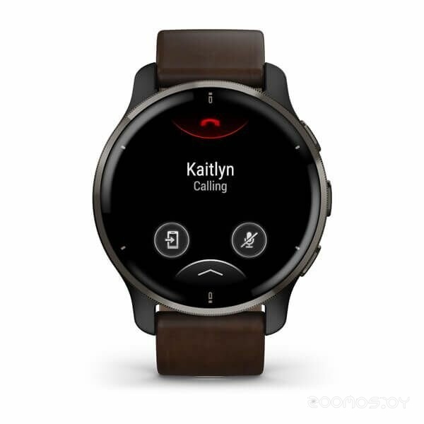 Умные часы Garmin Venu 2 Plus (черный/коричневый) 