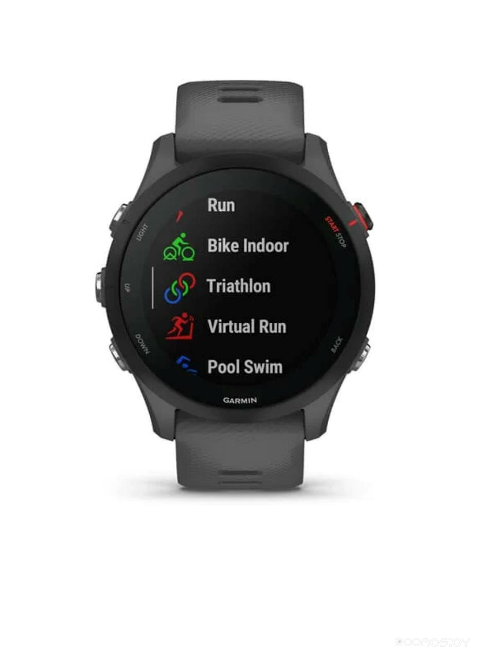 Умные часы Garmin Forerunner 255 46 мм (сланцево-серый/черный) 