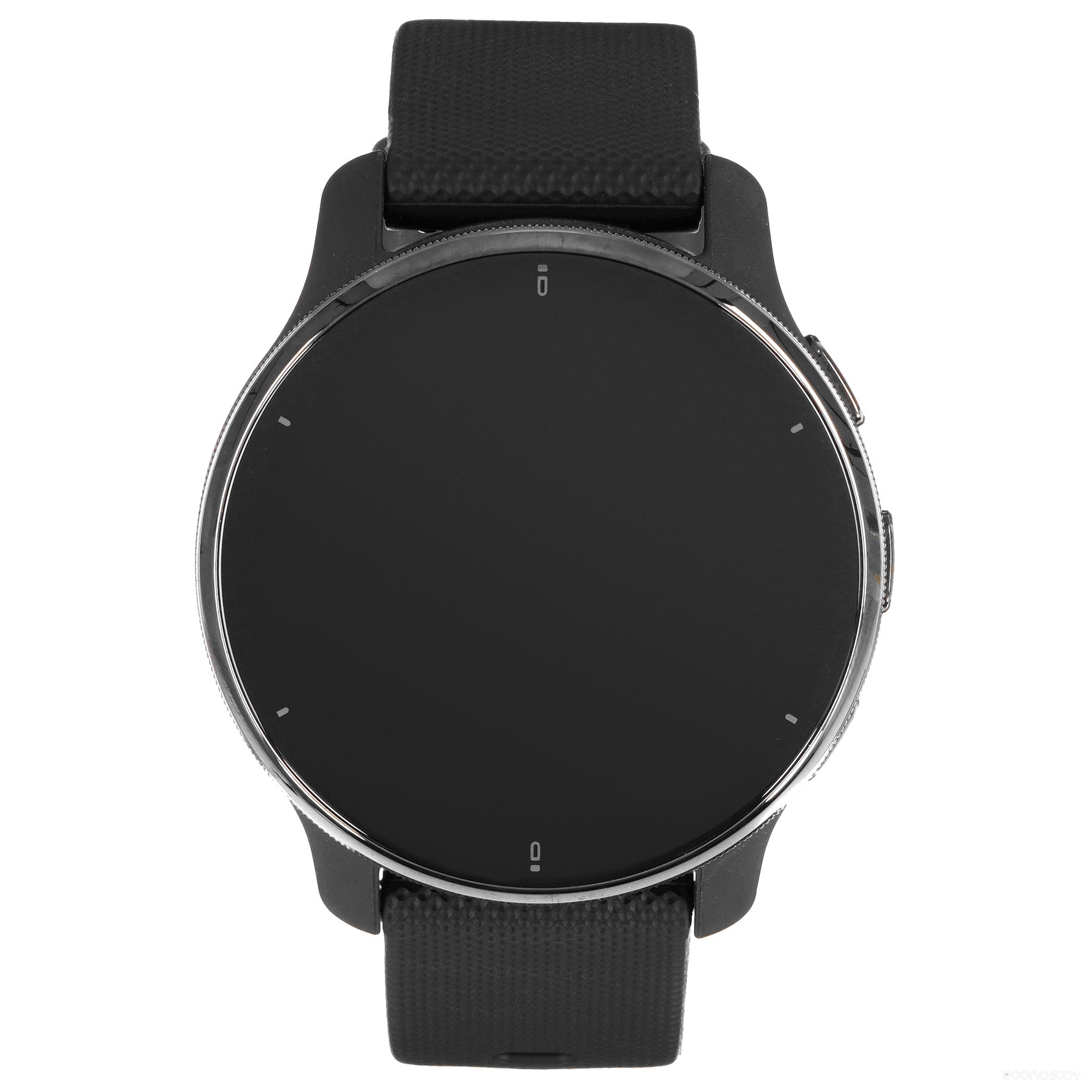 Умные часы Garmin Venu 2 Plus (черный) 