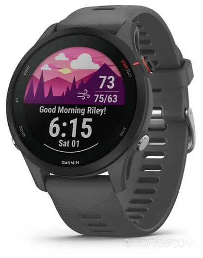 Умные часы Garmin Forerunner 255 46 мм (сланцево-серый/черный) 