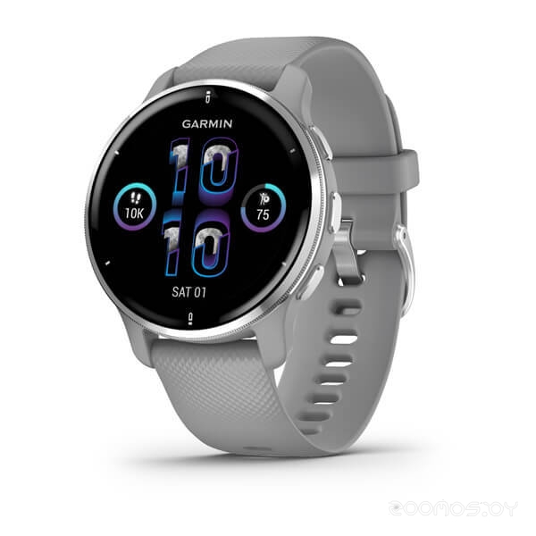 Умные часы Garmin Venu 2 Plus (серебристый/серый) 