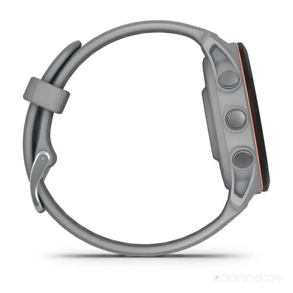 Умные часы Garmin Forerunner 255S 41 мм (светло-серый/черный) 