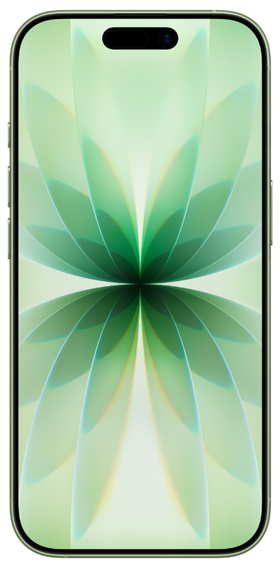 Apple iPhone 17 256GB зеленый (SIM + eSIM) 